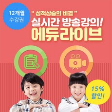 초등수학화상과외