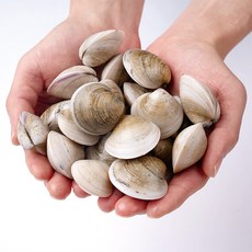 bb2bf55f158be85abc04354987480e6d2af5acf45a3d292797382d1136ae.jpg