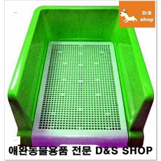 2개월강아지배변훈련 수세식화장실 소변튐없는 강쥐벽토일렛 강아지화장실배변