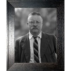 Theodore Roosevelt는 소박한 오크 프레임 사진 - 1916 년의 역사 삽화 - (8.5 x 11) - 매트 (8.5" x 11" Matte), 8.5" x 11", Matte, 8.5" x 11", Matte