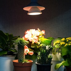 c28aba930c418b68a479f7889f1f3822d4c39b49d2ed820ebb2707259d23.jpg