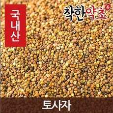 개부처손
