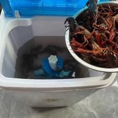 조개세척기 업소용 어패류 가재 횟집 어시장 전복 조개 새우 씻는기계 세척 바지락 해감 세우, 대용량 세우 세탁기 5-10kg