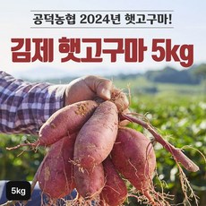 eTV [농협] 2024 김제 햇 밤고구마(5kg*1박스)