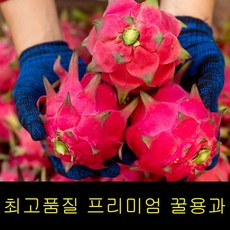 복숭아난좌