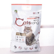 어반디케이캣콜