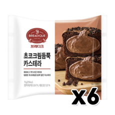 브레디크 초코크림듬뿍 카스테라 베이커리빵 80g x 6개