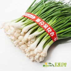 [프레시팜] 싱싱한 면역채소 깐 쪽파 1단 1kg내외, 1kg 1단