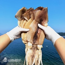 [HACCP안심실내건조] 반건조 피데기 오징어 350g (5미), 20세트, 소 5미