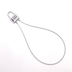 캐리어미니자물쇠