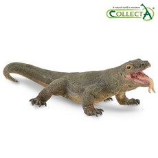 리보코모도왕도마뱀