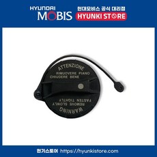 투스카니연료캡