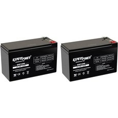 엑스퍼트 파워 EXP 1290 12V 9A 충전식 배터리, 12V 9 AH (Pack of 2) - exputt