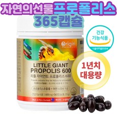 추천3가래생기는이유