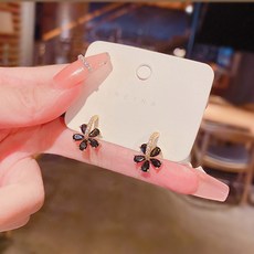 폴브리알925실버