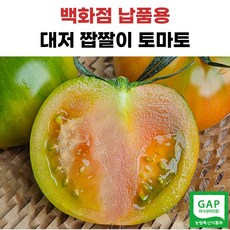 프리미엄 대저짭짤이토마토, 중대과, 1개, 1kg