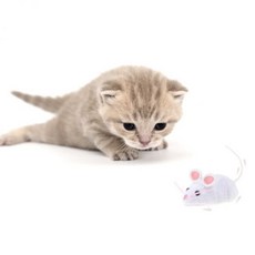 헥스버그마우스