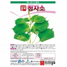 아시아종묘 자소씨앗종자 청자소-아오시소(100g)