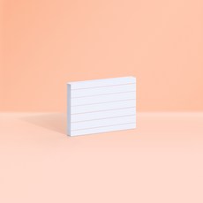 모트모트오로라스틱