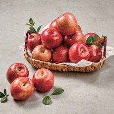 열매나무 부사사과 5kg(2.5kg+2.5kg 18~24과) 12brix이상, 2개