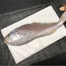 침조기