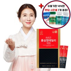 동의삼 6년근 홍삼정 데일리100 + 랜덤 사은품1개 증정, 1개