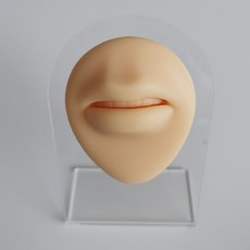 실리콘입술모형