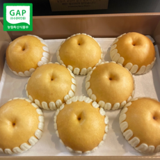 고당도 GAP 프리미엄 나주배 특품 선물세트, 1박스, 8kg (7-10과)