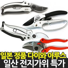 아라베르가위