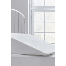 성인역류방지쿠션