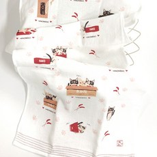 전통테누구이