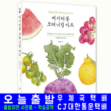 베지터블 보태니컬 아트 색연필 도안집 교재 책, 시대인, 제니리