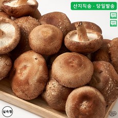 생표고버섯, 1개, 실속형 2kg
