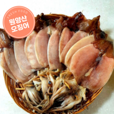 [탁월한식탁] 동해 반건조 피데기 오징어 원양산, 1개, 중(450g) 5미