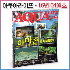 아쿠아라이프 2016년 04월호