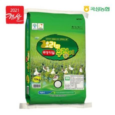 곡성래프팅