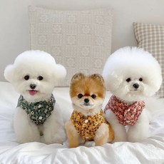 고양이김장조끼