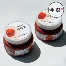 오징어젓갈+ 낙지젓갈 2종 젓갈 반찬세트, 2개, 500g