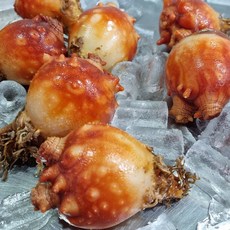 멍개 500g 손질 완료 통영 제철 활멍게 우렁쉥이, 1개