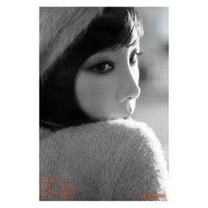 태연브로마이드