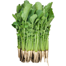 솔이네야채가게 직영 농장 열무, 1박스, 1KG