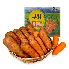 [당일발송]첫수확 제주 구좌 햇 흙당근, 중3kg, 1개