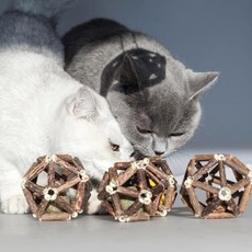 DING DONG PET 2套貓, 1套, 混合顏色