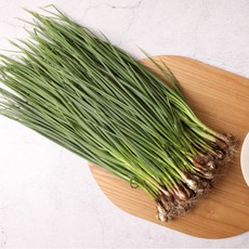 농가신선 국내산 흙 쪽파 1단 특상품, 1개, 1kg