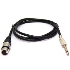 canarel-2e5양캐논50m