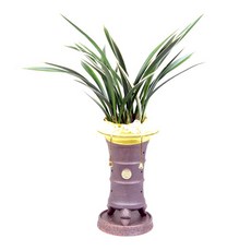 난다라이프절계피