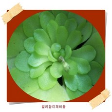 6a9c8d5e-a56e-4d97-bb97-2a1db9d9814b.jpg