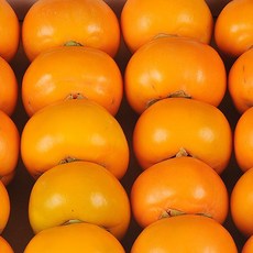 [이베따] 국내산 햇 단감 10kg, 02_단감 10kg(61-70과,중과), 1개