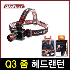 shs6601