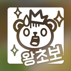 어쩌다시작한왕초보01